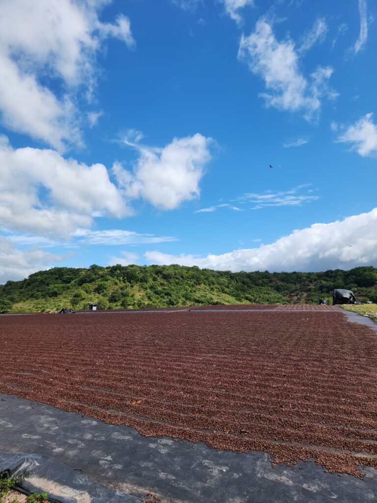 WhatsApp Image 2024-12-26 at 8.24.12 AM